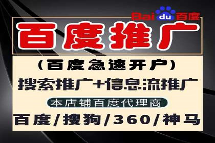 某公司SEM广告投放的全程回顾与效果评估